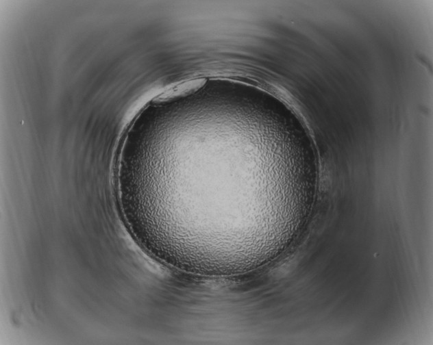 X0000103430803200809191659