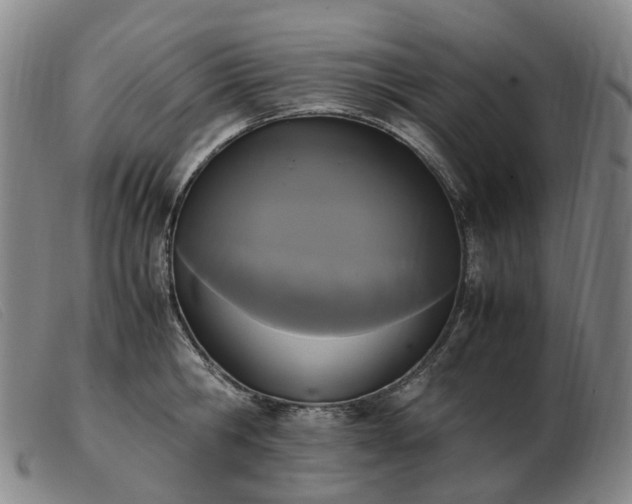 X0000103430806200809191659