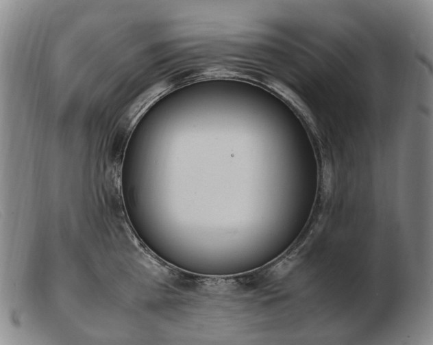 X0000103430809200809191659