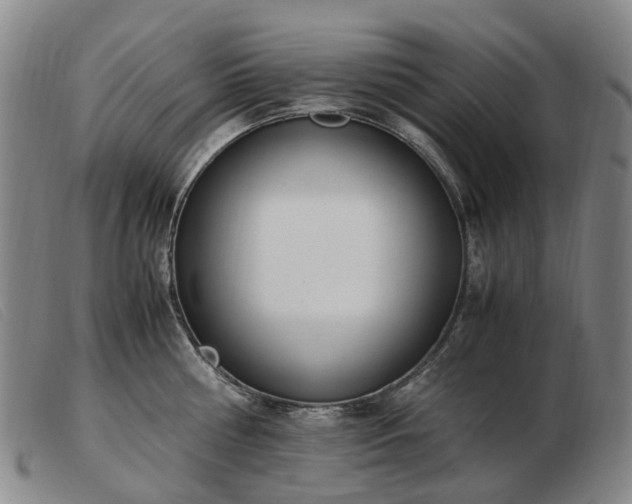 X0000103430810200809191659