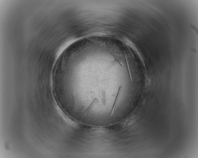 X0000103430811200809191659