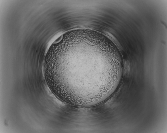 X0000103430812200809191659