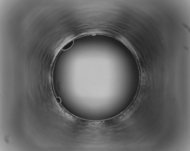 X0000103430813200809191659