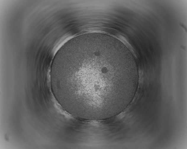 X0000103430814200809191659