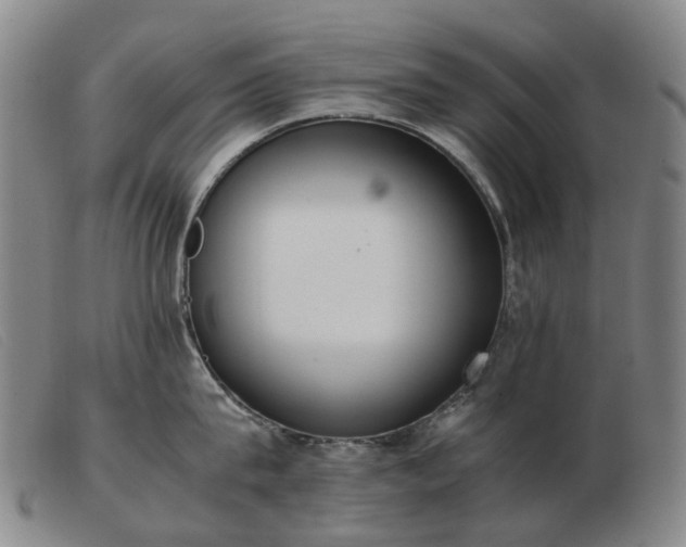 X0000103430815200809191659