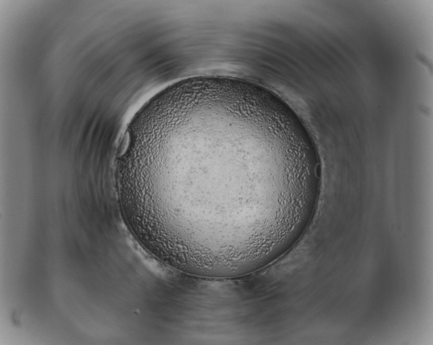 X0000103430816200809191659