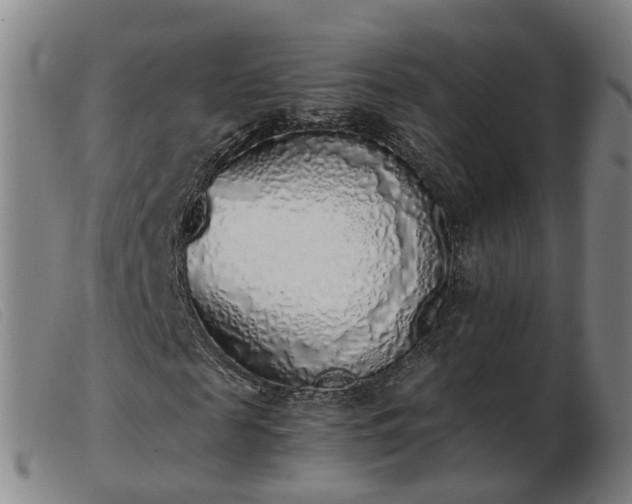 X0000103430817200809191658