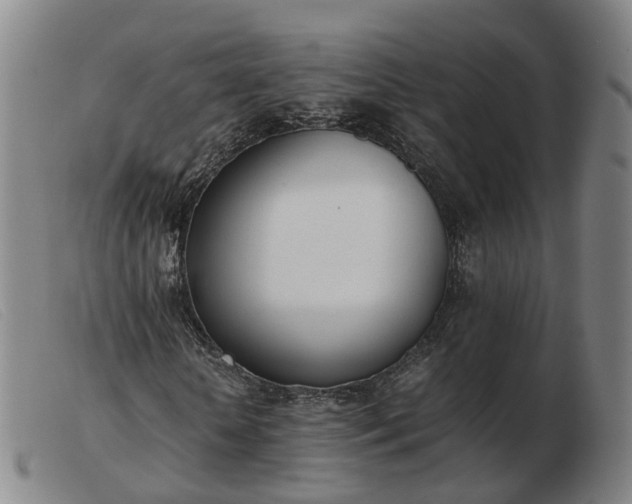 X0000103430818200809191658