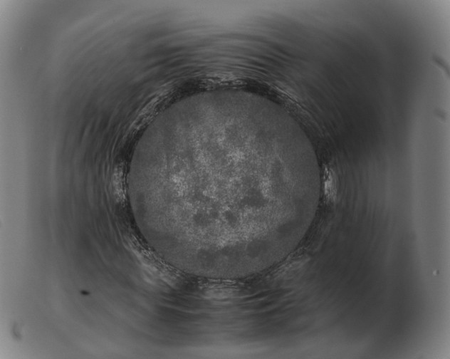 X0000103430819200809191658