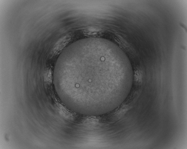 X0000103430820200809191658