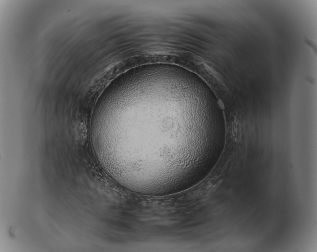 X0000103430821200809191658