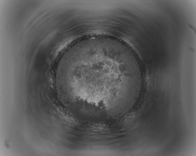 X0000103430823200809191658