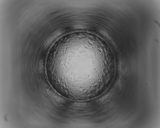X0000103430825200809191658