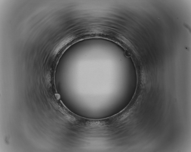 X0000103430826200809191658