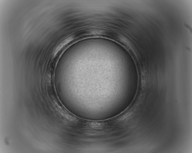 X0000103430827200809191659