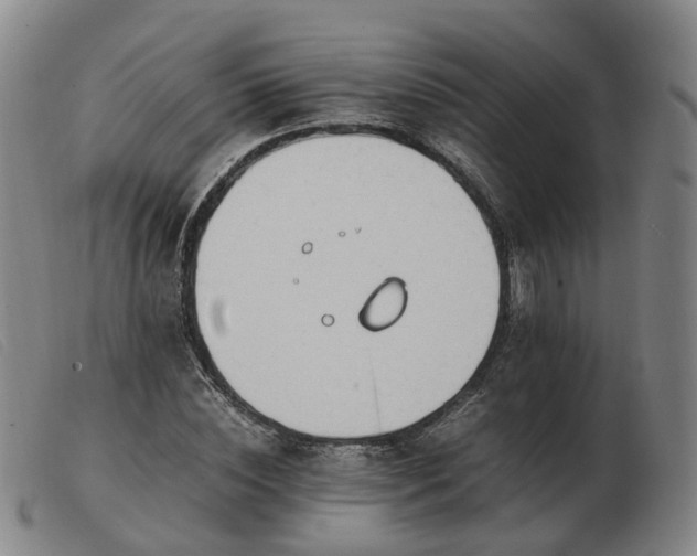 X0000103430828200809191659