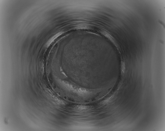 X0000103430829200809191659