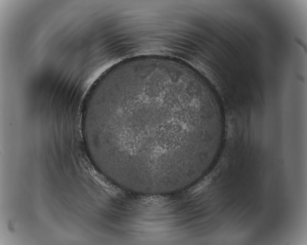 X0000103430830200809191659