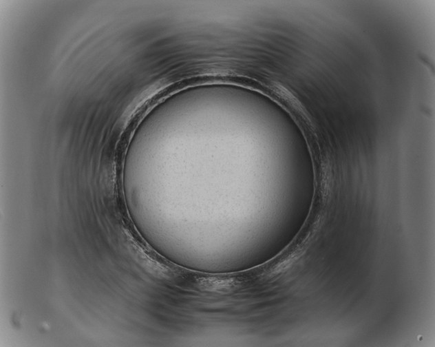 X0000103430831200809191659