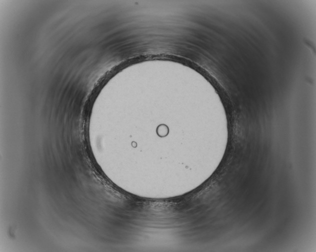 X0000103430832200809191659