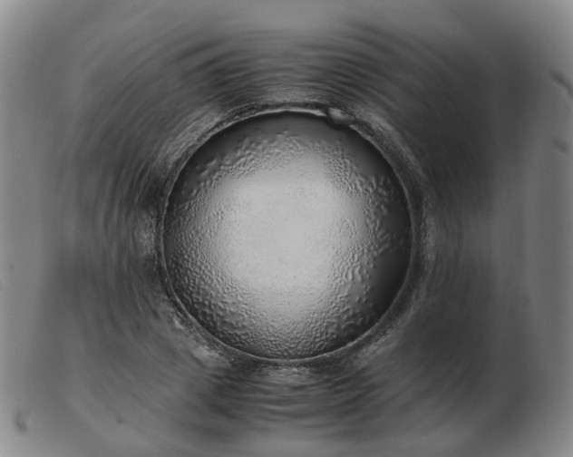 X0000103430833200809191659