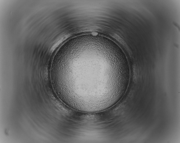 X0000103430834200809191659