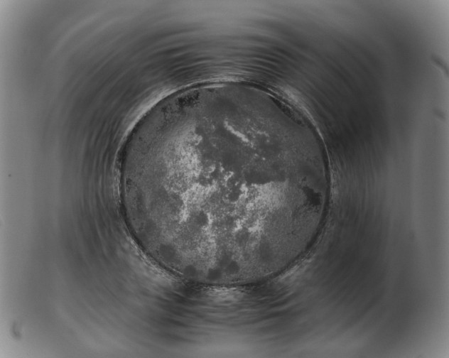 X0000103430835200809191659