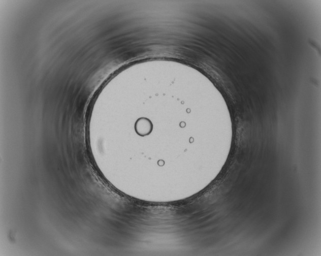 X0000103430836200809191659