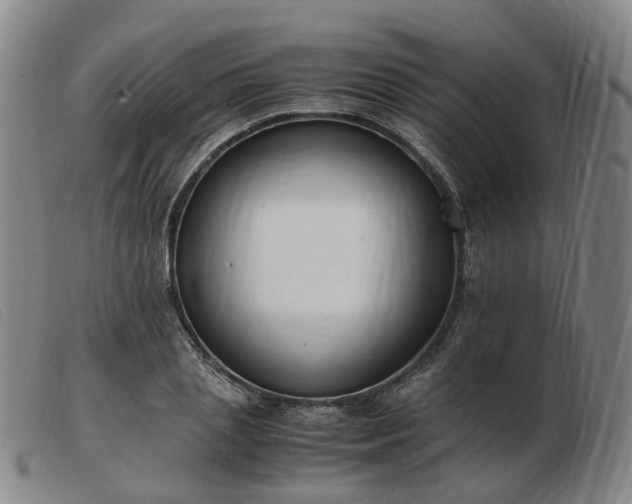 X0000103430837200809191659