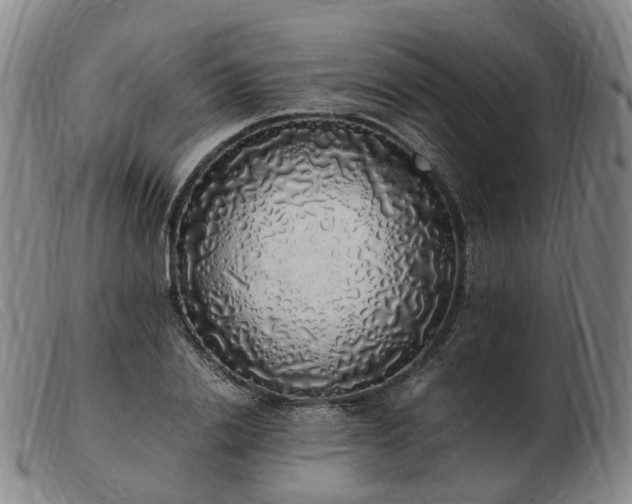 X0000103430838200809191659