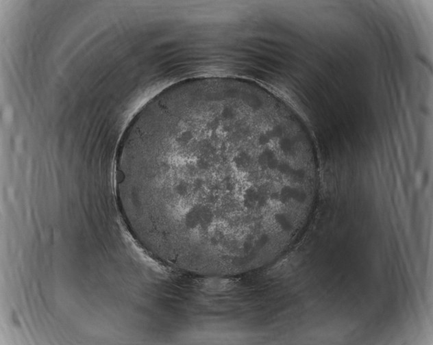 X0000103430839200809191659