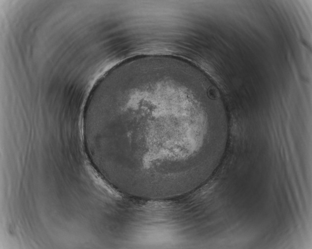 X0000103430840200809191659