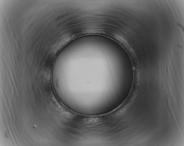 X0000103430841200809191659