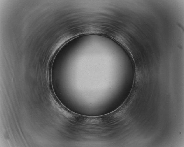 X0000103430843200809191659
