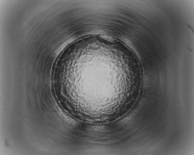 X0000103430845200809191659