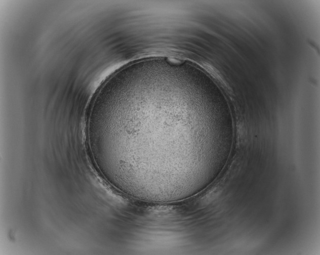 X0000103430846200809191659