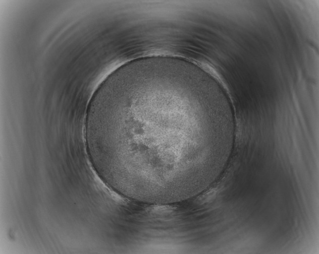 X0000103430847200809191659
