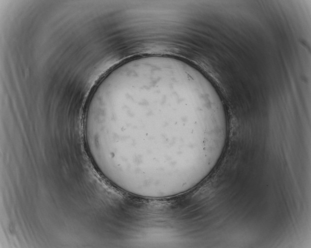X0000103430848200809191659