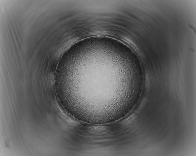 X0000103430849200809191659