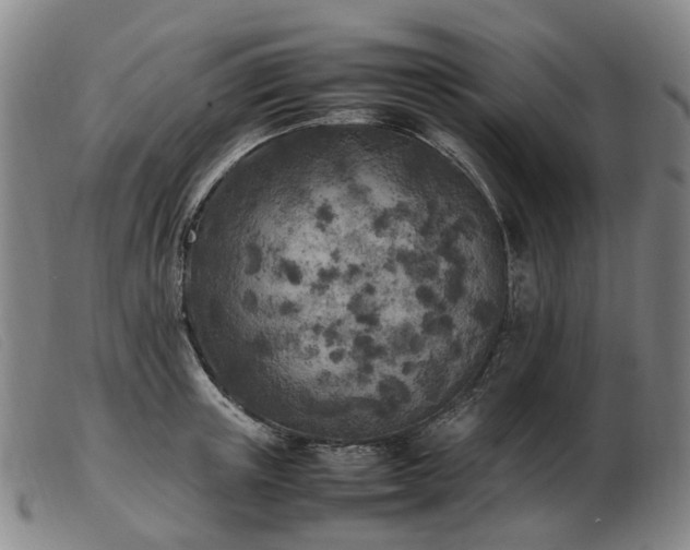 X0000103430851200809191659