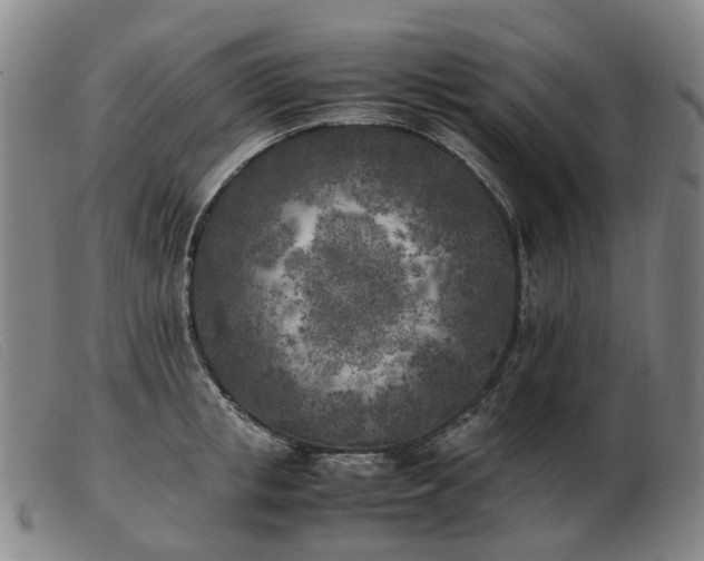X0000103430853200809191659