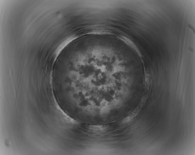 X0000103430855200809191659
