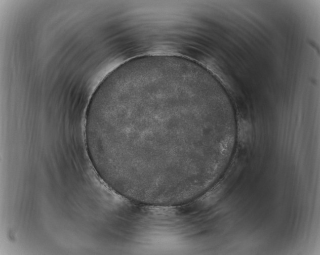 X0000103430856200809191659