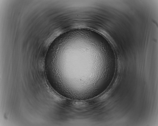 X0000103430857200809191659