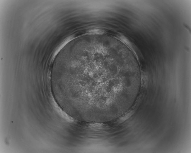X0000103430859200809191659