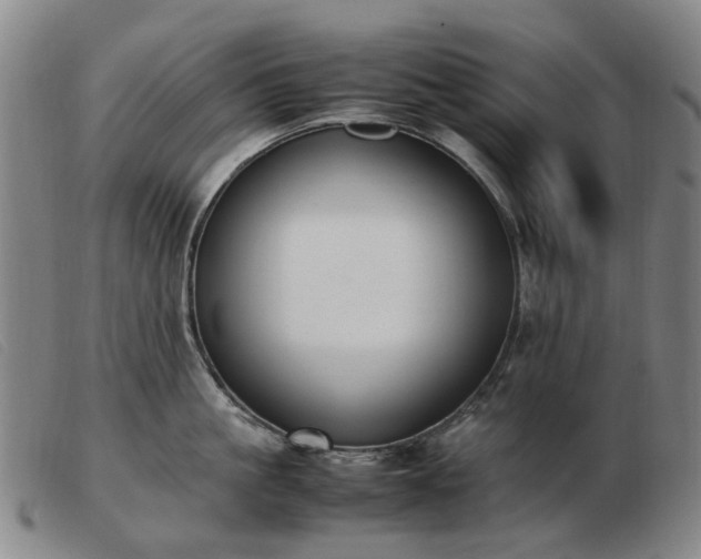 X0000103430861200809191659