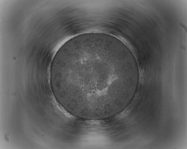 X0000103430862200809191659