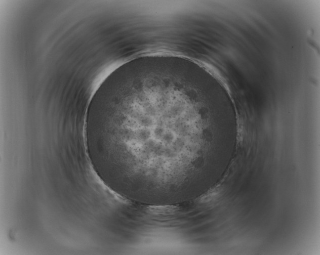 X0000103430863200809191659