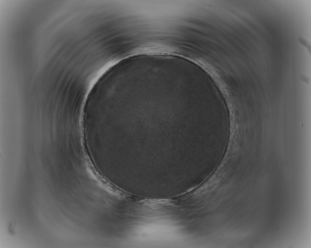 X0000103430864200809191659