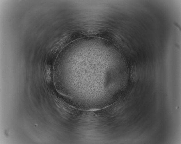 X0000103430866200809191658